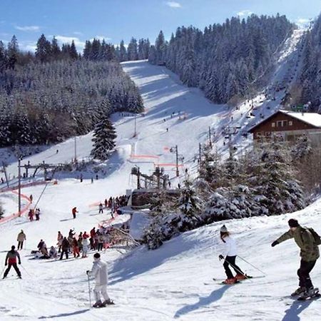 Appartement De 2 Chambres Avec Terrasse Et Wifi A Rochesson A 6 Km Des Pistes Dış mekan fotoğraf